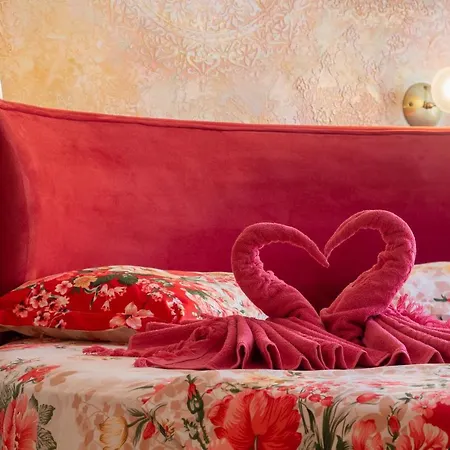 Boutique 'sofia' بيت ضيافة نيسيبار