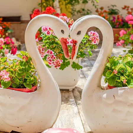 Boutique 'sofia' بيت ضيافة