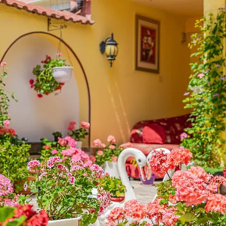 Vendégház Boutique 'sofia' 4*